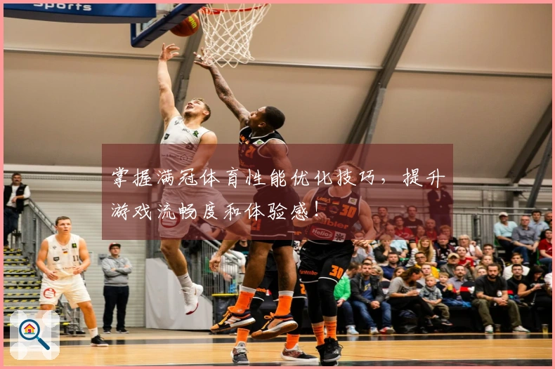掌握满冠体育性能优化技巧，提升游戏流畅度和体验感！