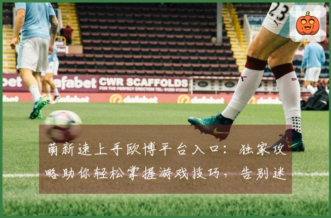 萌新速上手欧博平台入口：独家攻略助你轻松掌握游戏技巧，告别迷茫！