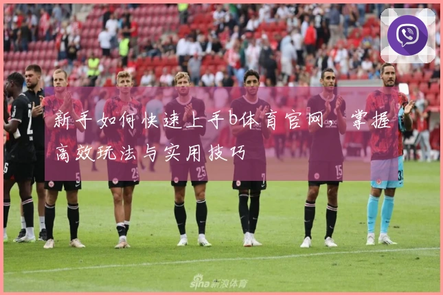 新手如何快速上手b体育官网，掌握高效玩法与实用技巧